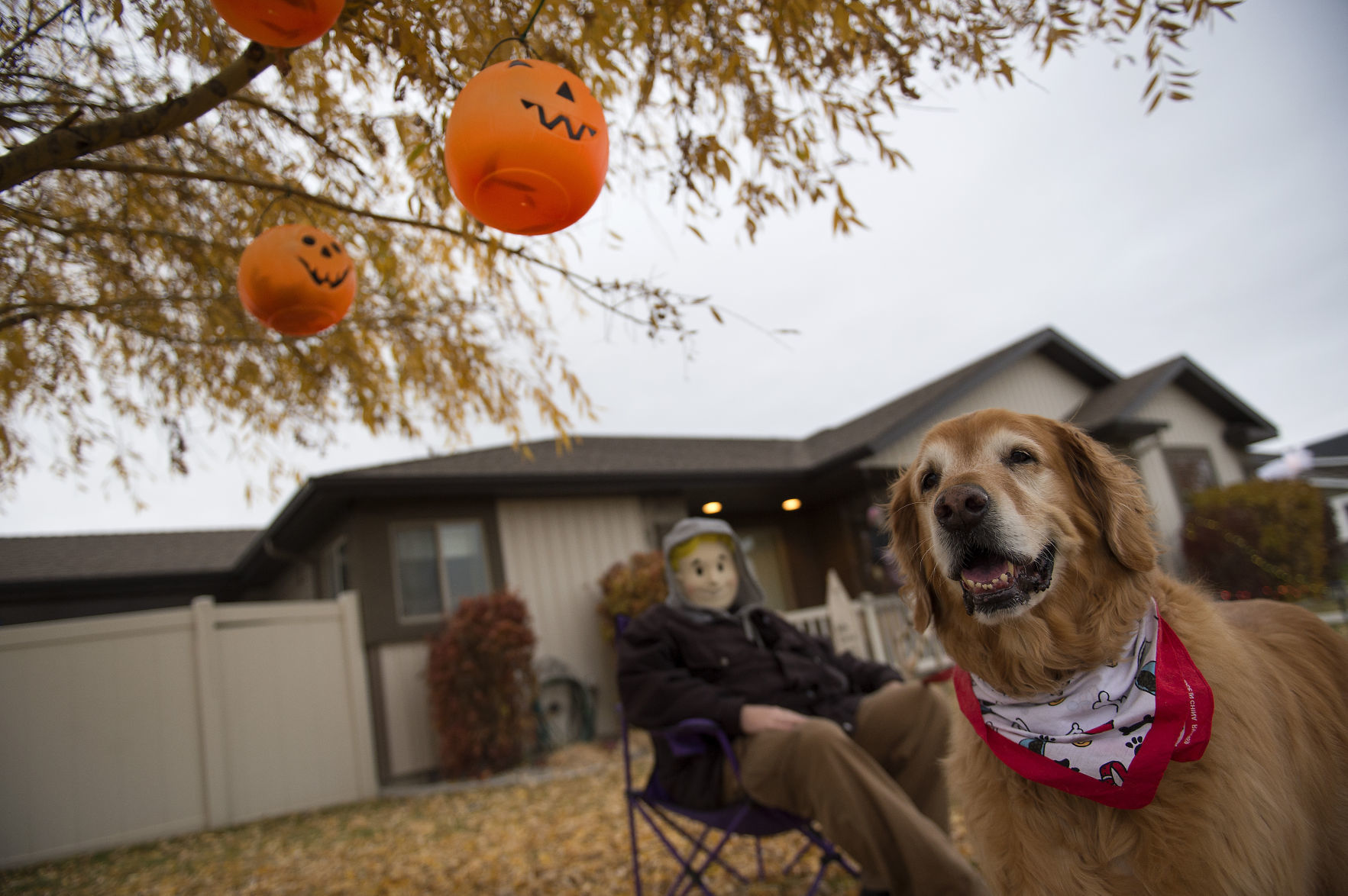 Halloween 2018